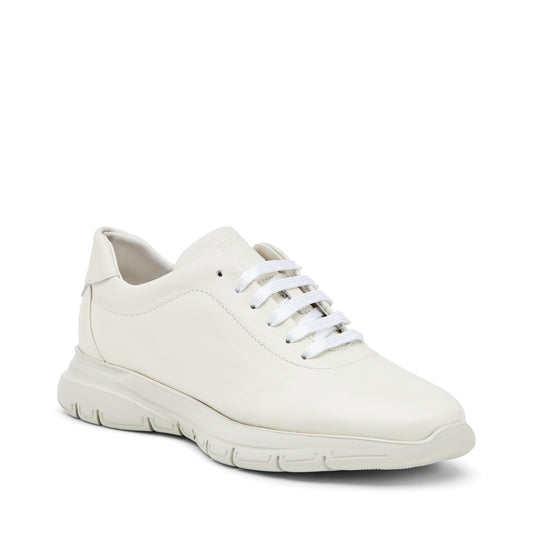 Frau 43P3 OFF WHITE